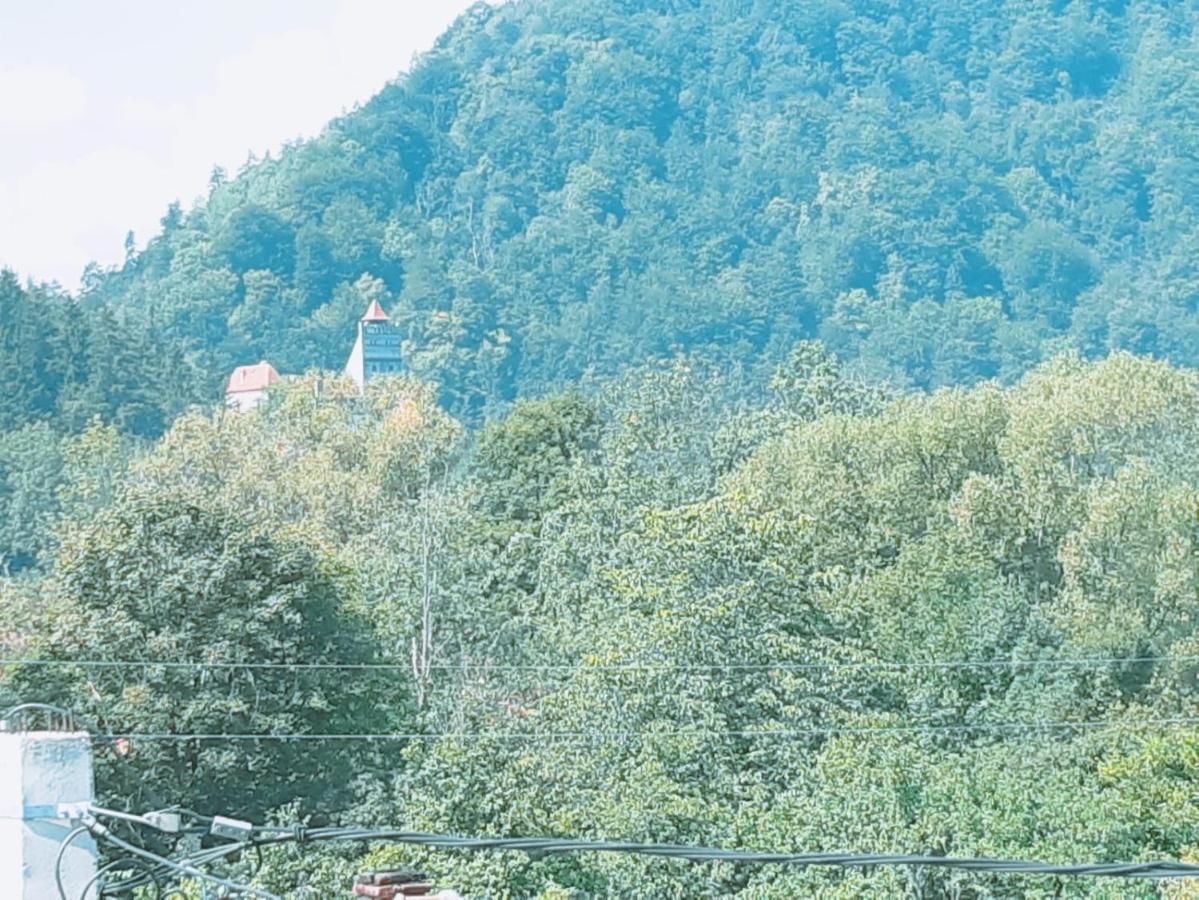 Гостевой дом Casa Gabi Бран-17