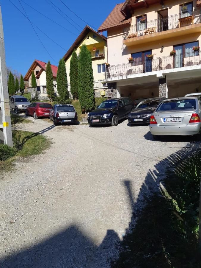 Гостевой дом Casa Gabi Бран-5