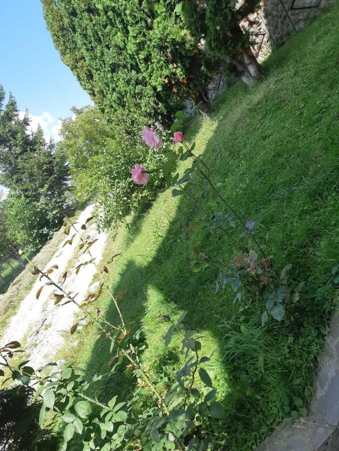 Гостевой дом Casa Gabi Бран-10