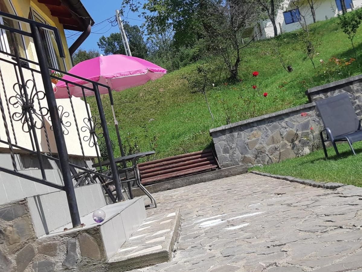 Гостевой дом Casa Gabi Бран-11