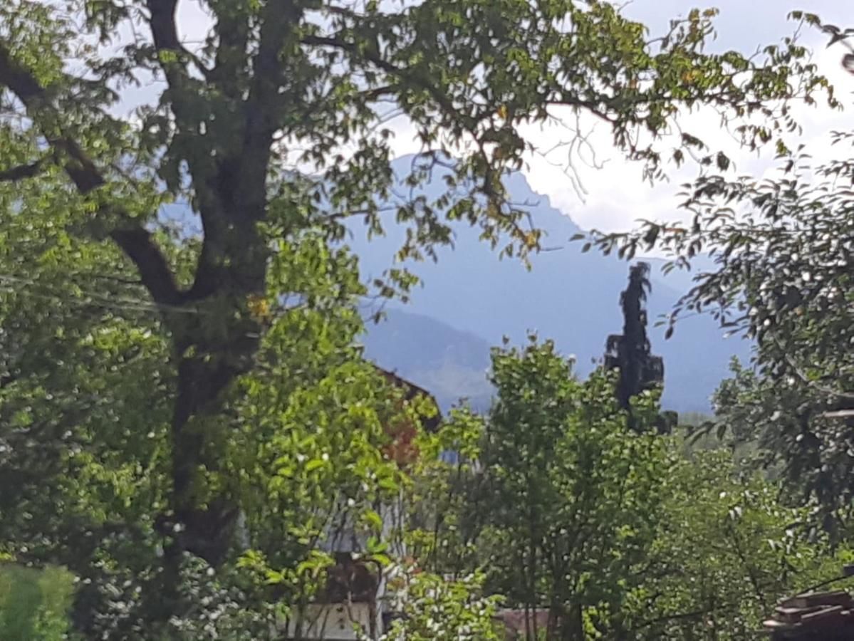 Гостевой дом Casa Gabi Бран-12