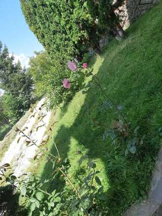 Гостевой дом Casa Gabi Бран-6