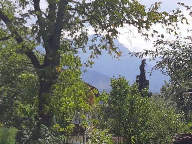 Гостевой дом Casa Gabi Бран-11